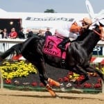 Rainbow Heir wins NJ-bred Horse of the Year