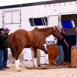 Preakness Wrap: ‘Gray Horse’ hears the cheers