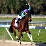 Rosie’s-Colonial Downs opens for business