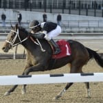 Breeding issues key at Maryland Racing Commission meeting