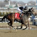 Rooting interests: Vitali hopes for ‘Valid’ Special
