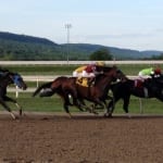Delaware Park fields holding their own