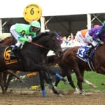 Matt McCarron named Merryland’s trainer