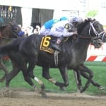 Divining Rod to carry Lael colors into Preakness