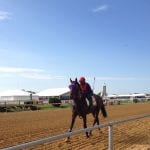Day 5: Midlantic-breds in Saratoga stakes