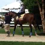 Day 8: Midlantic-breds in Saratoga stakes