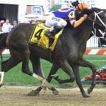 Nominations robust for Black-Eyed Susan day stakes