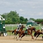 From the Spa: July 26 Midlantic-breds in Saratoga stakes