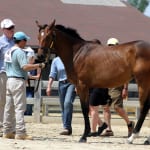 RaceBrief for June 30