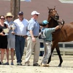 Maryland Racing Commission adopts cobalt regulation