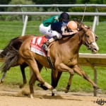 On Haskell day, score two for New Jersey-breds