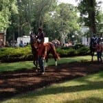 Two Midlantic-breds notch graded wins