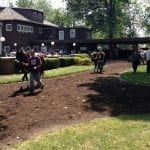Pure Sensation scores in Parx Dash