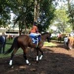 On tap: Stakes selections