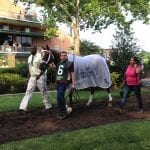 Three carryovers highlight Laurel Park Friday card