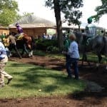 Patiently handled Paid Up Subscriber ready to jump up in Del ‘Cap