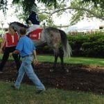 Awad, Little Bold John enter Maryland Thoroughbred Hall of Fame