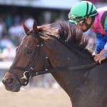Timonium weekend wrap