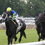 Delaware horsemen concerned by positive drug tests