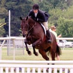 For Spooky Mulder, 34 wins – and one forever home
