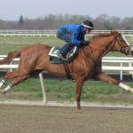 On Tap: Stakes and more stakes