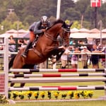 Virtual “Road to Breeders’ Cup” service announced
