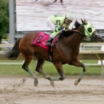 RaceBrief for September 2: Busy