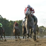 August 11: Midlantic-breds in Saratoga stakes