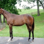 RaceBrief for August 4