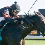 RaceBrief for August 11