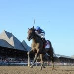 10 memorable Haskell Stakes moments