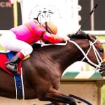 Sheer Drama cruises to Thirty Eight Go Go at Laurel