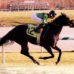 Regional stallion Street Magician has first winner