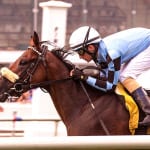 Bern Identity scoots to validating Dave’s Friend win