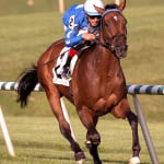 Veteran trainer Ron Alfano works to change with times