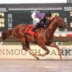 First stake wins “special” for trainers Dylan Smith, Niall Saville