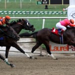 Deep field heads Willa on the Move Stakes