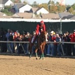 Stellar Wind named Top Midlantic-bred of 2015