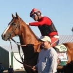 Top field to line up for De Francis Dash