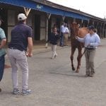 RaceBrief for September 29: Weekend stakes gallery