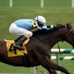 For Laurel Futurity, Selima winners, a stepping stone