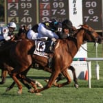 Dreamsgonewild upsets Ben’s Cat to take Laurel Dash