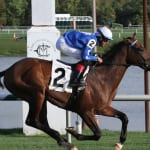 RaceBrief for September 15: Weekend stakes gallery