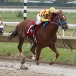 Wise Dan will not compete in Breeders’ Cup