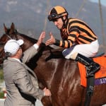Ben’s Cat, Eighttofasttocatch: Maryland Million elder statesmen