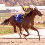 D C Dancer takes Maryland Million Sprint