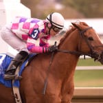 Talk Show Man has last word in Maryland Million Turf