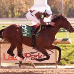 Claimbox: Mid-Atlantic claiming leaders for November 11