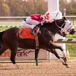Claimbox: Mid-Atlantic claiming leaders for October 21