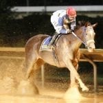 King Leatherbury, Xtra Heat named to Hall of Fame